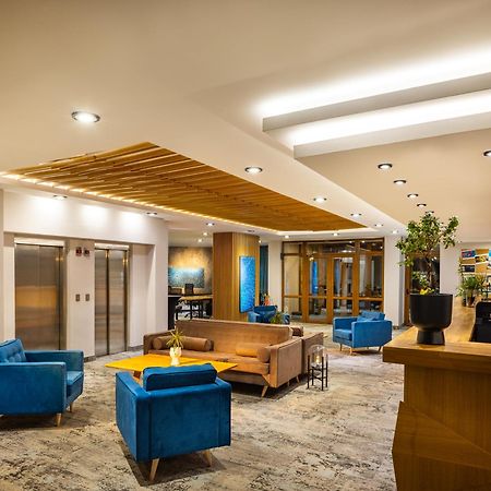 Coliving Bansko, The Social Hotel By Networking Premium 반스코 외부 사진